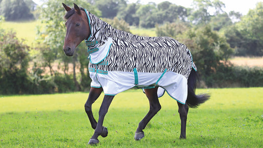 Dealing with Flies and Protecting Your Horses