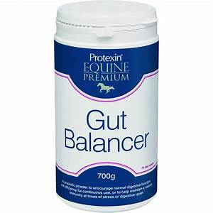 Protexin Gut Balancer 700g