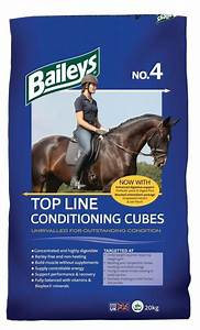 Baileys No. 04 Top Line Condition Cubes 20 kg
