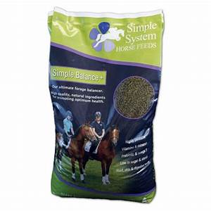 Simple System Simple Balance +