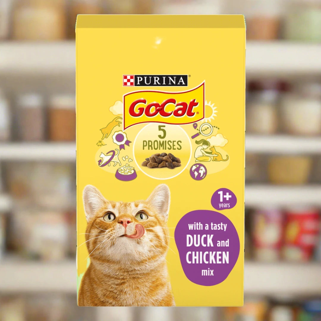 Go cat kitten biscuits best sale