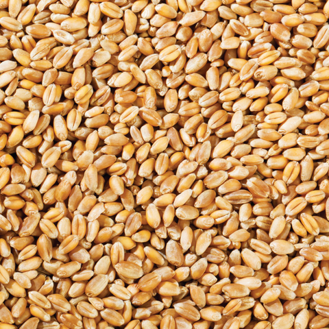 Whole Wheat 25kg