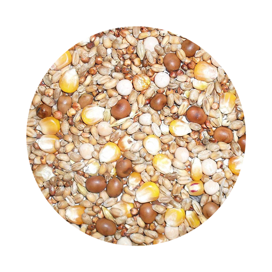 Johnston & Jeff  Pigeon Four Seasons 20kg