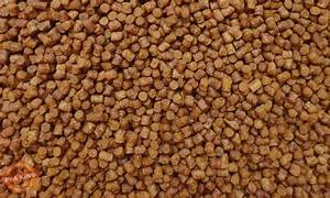 Skretting Coarse Royale 4.5 mm 5 KG