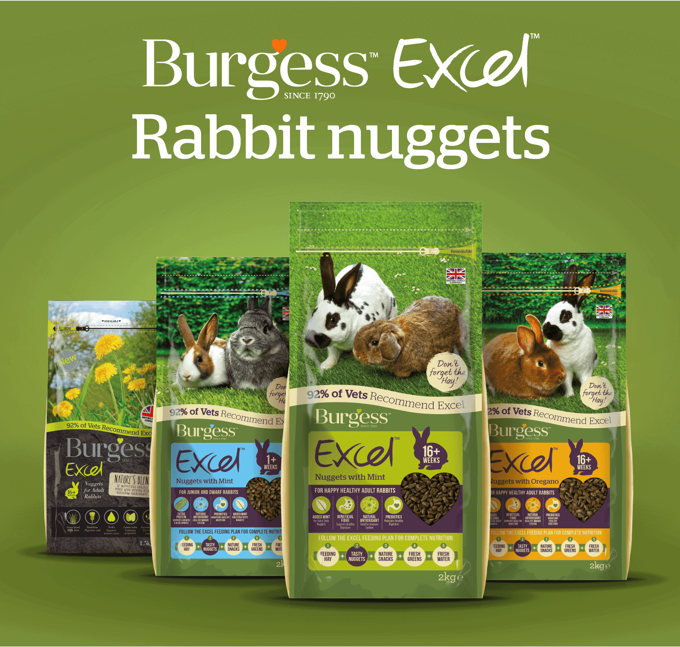 Burgess Excel Rabbit with Mint 1.5Kg