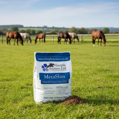 Simple System MetaSlim 10kg