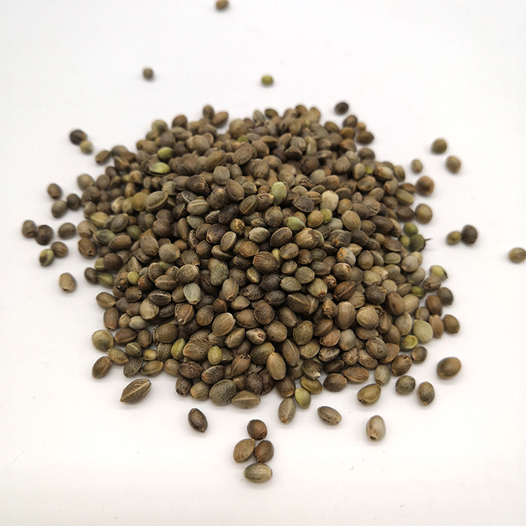 French Hemp 5kg (smaller)