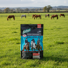 Baileys No. 19 Performance Balancer 20 kg