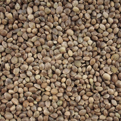 Chinese XL hemp 25kg