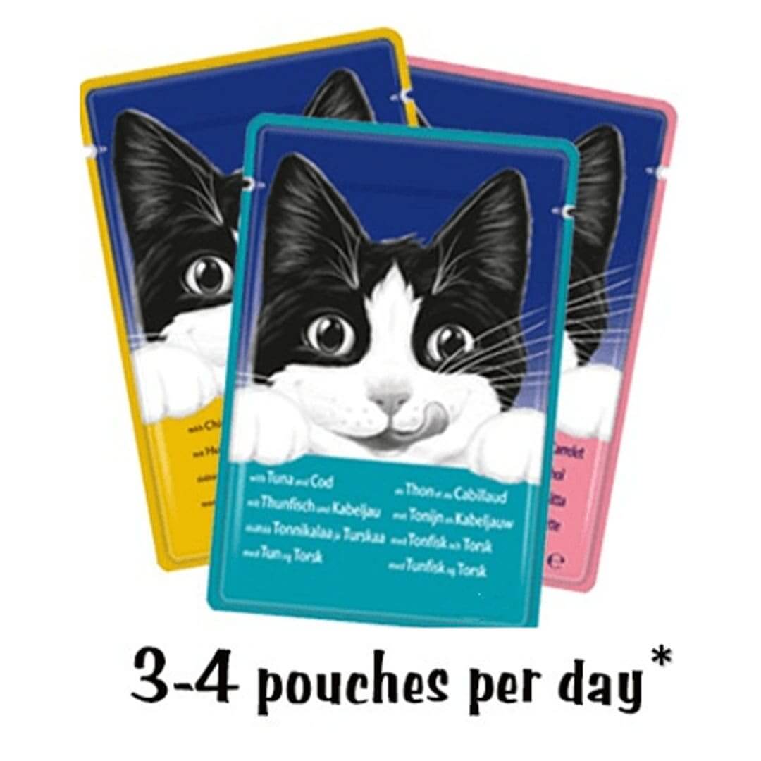 Cat food pouches best sale