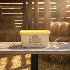 Gold Label Garlic Powder x 3 Kg