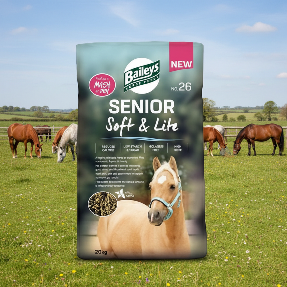 Baileys Soft & Lite No.26