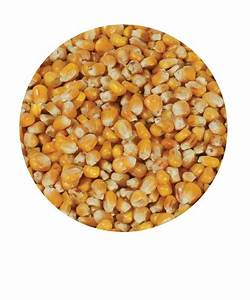 Whole Maize 20kg