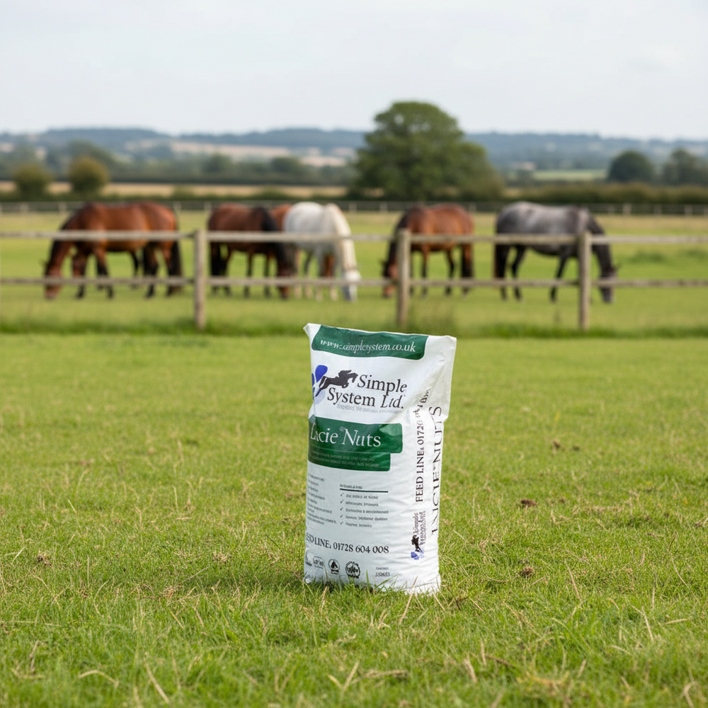 Simple System Lucie Nuts Lucerne Nuts 20 kg