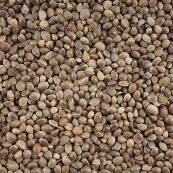 Chinese XL hemp 5kg