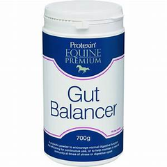 Protexin Gut Balancer 700g