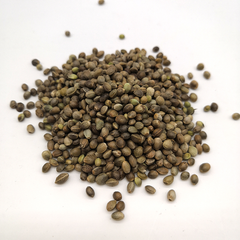 Hemp Seed 1 Kg