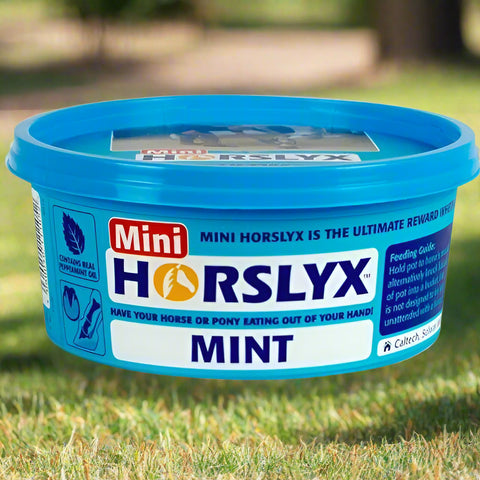 Horslyx Mini Mint 650g