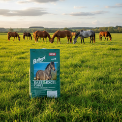 Baileys No.24 Ease & Excel Cubes 20kg