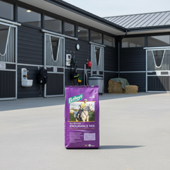 Baileys No. 06 Endurance Mix 20 kg