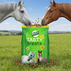 Baileys Tasty Treats 5 kg refill