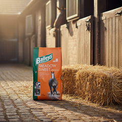 Baileys No.8 Meadow Sweet & Turmeric 15 kg