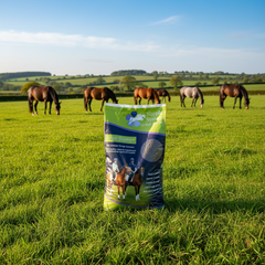 Simple System Simple Balance +