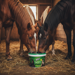 Baileys Tasty Treats 5 kg tub