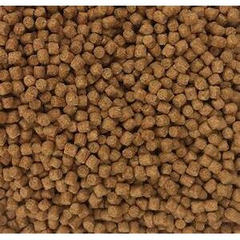 Skretting Coarse Royale 6 mm 10Kg