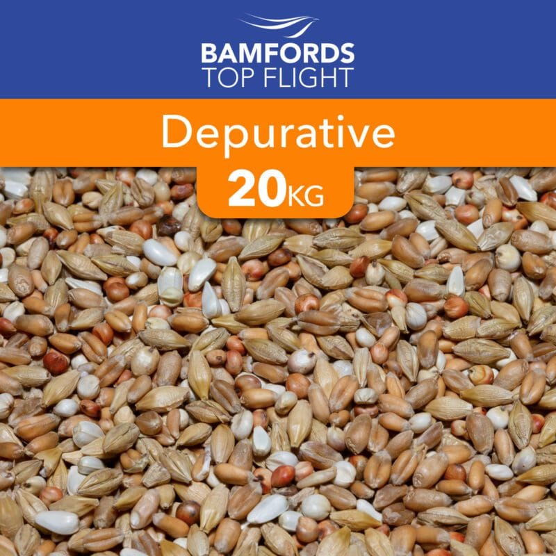 Bamfords Top Flight Depurative