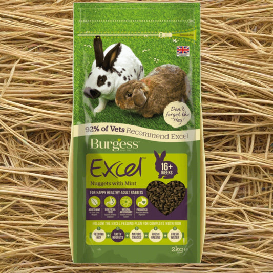 Burgess Excel Rabbit with Mint 1.5Kg