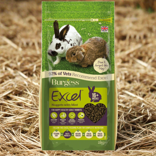 Burgess Excel Rabbit with Mint 10Kg