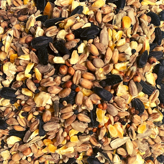 Premium Wild Bird Mix