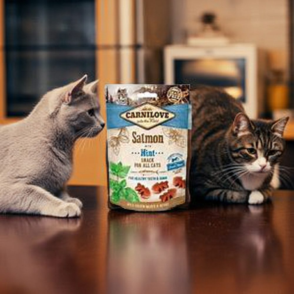 Carnilove Grain Free Crunchy Snack for All Cats Salmon w/ Mint 50G