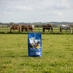 Baileys No. 04 Top Line Condition Cubes 20 kg