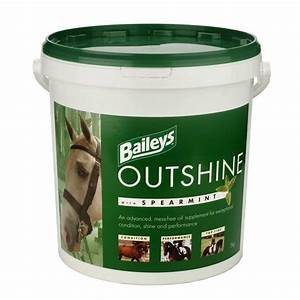 Baileys Outshine Spearmint 5 kg