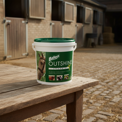 Baileys Outshine Spearmint 5 kg