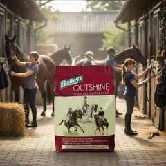 Baileys Outshine 6.5 kg