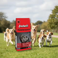 Feedwell Maintenance 15Kg