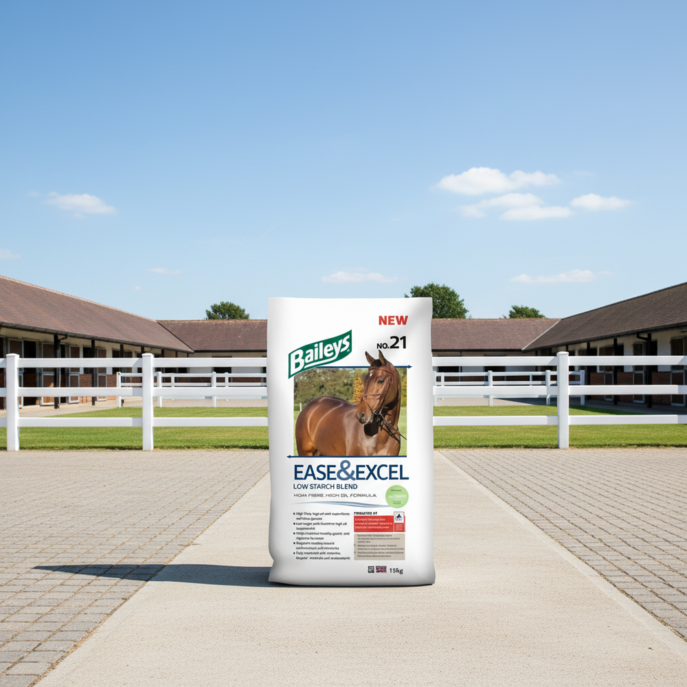 Baileys No.21  Ease & Excel mix