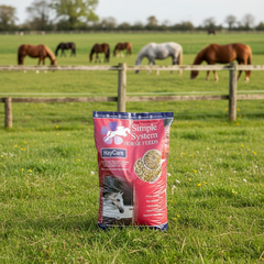 Simple System Hay Care Timothy Grass Nuts 20kg