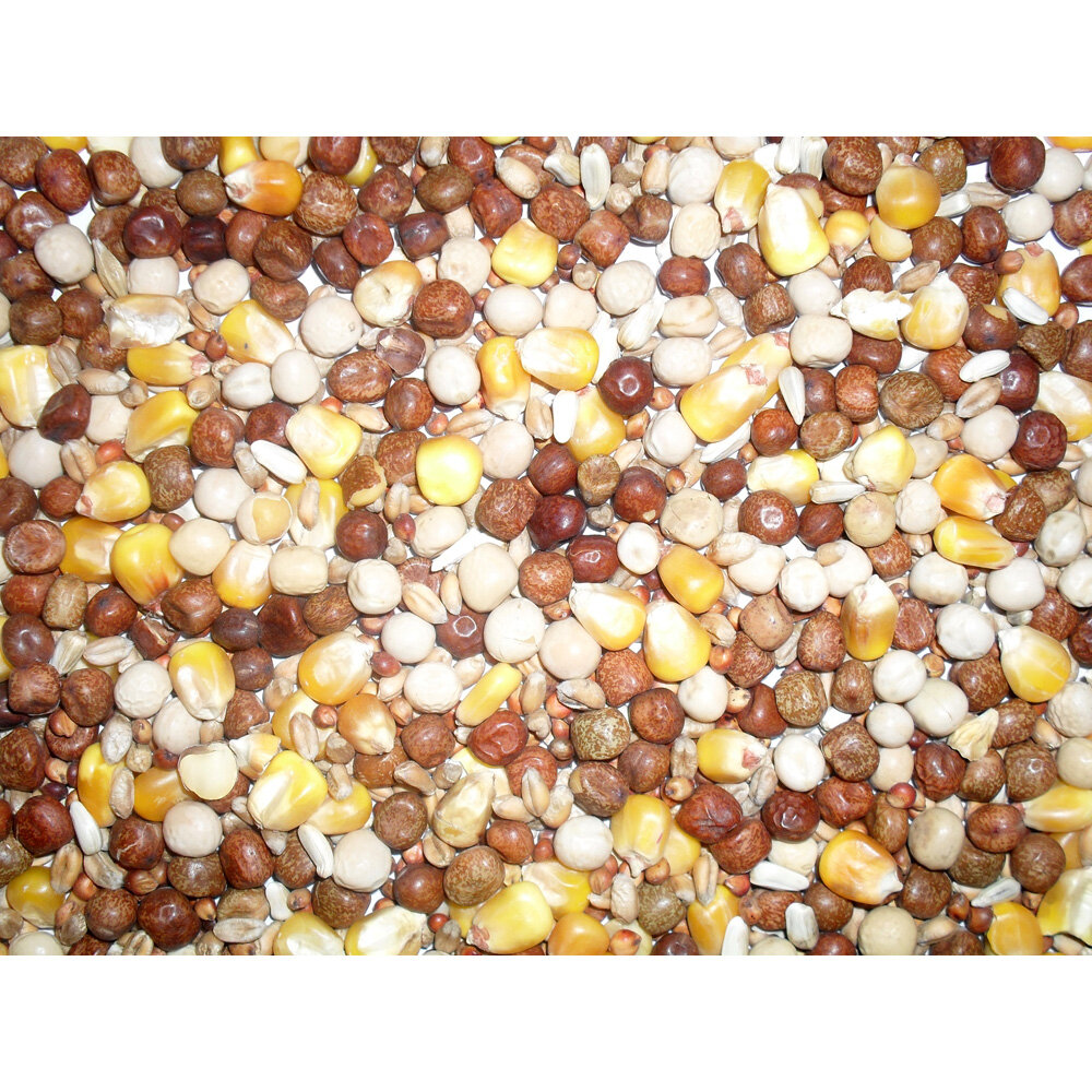 Johnston & Jeff  ALL ROUNDER PIGEON CORN 20KG
