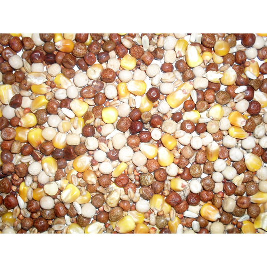 Johnston & Jeff  ALL ROUNDER PIGEON CORN 20KG