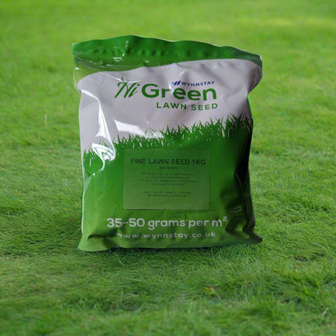 Fine Lawn Seed 1Kg