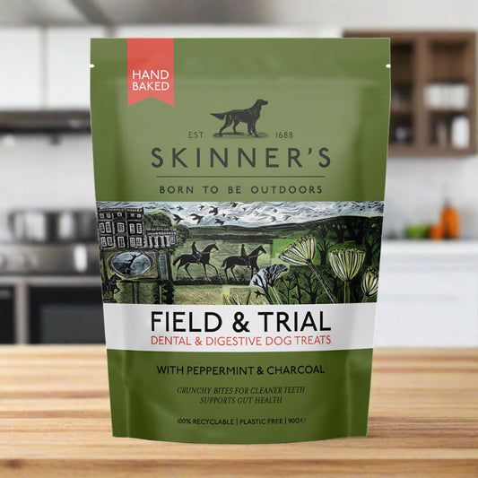 Skinners Dental & Digestive Treat 90g