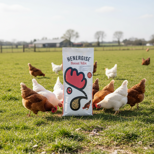 Henergise Boost Mix package on a white background