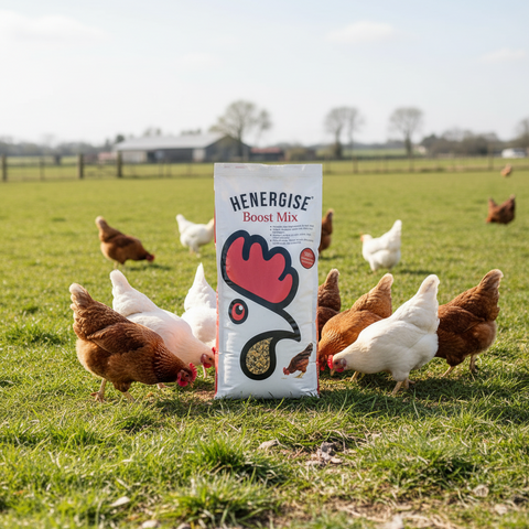 20Kg Henergise Boost Mix 20Kg