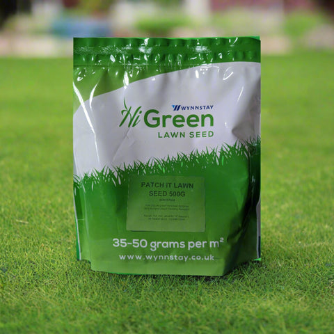 Patch It Lawn Seed 500g