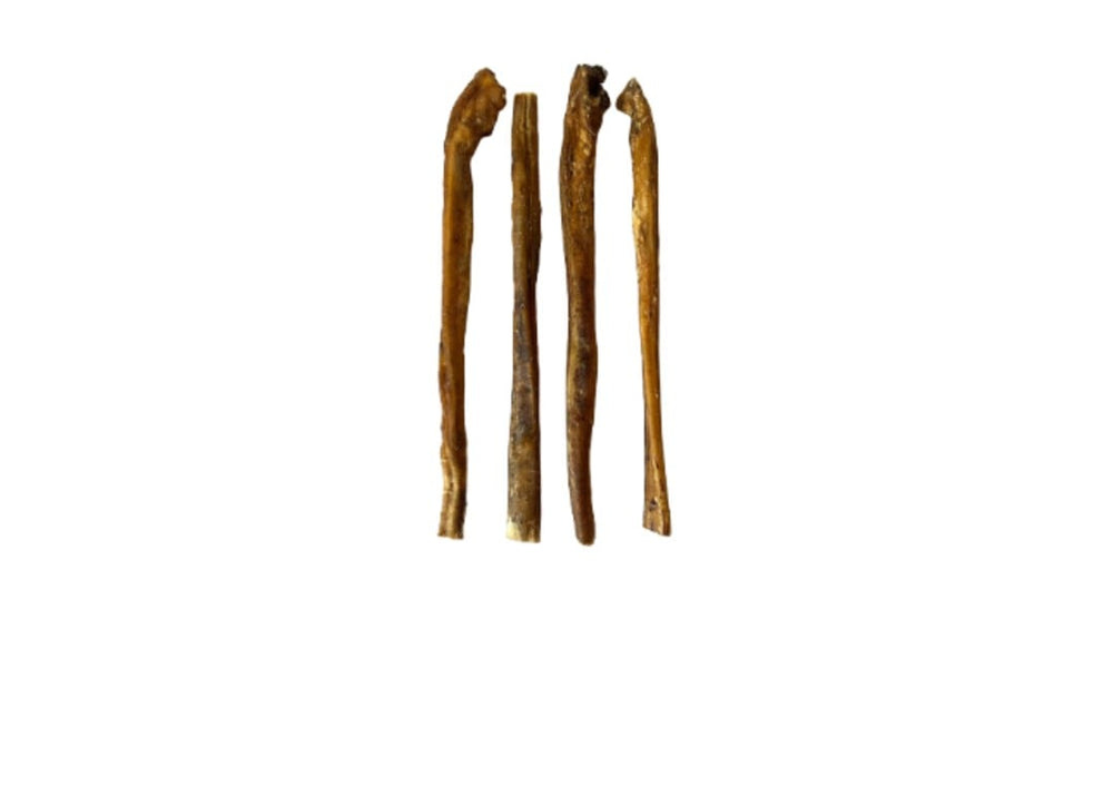 Pizzle Stick single