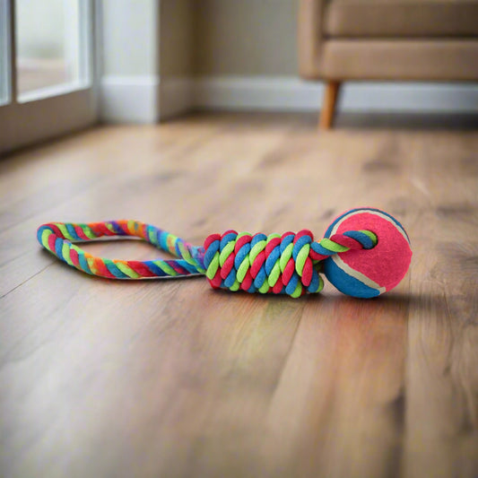 Ancol Ropey Raggers Dog Toy